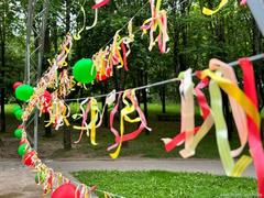 Танцевальный вечер подопечных ОДПП в парке 60-летия Октября 