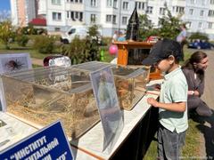 ФРУНЗЕНСКИЙ РАЙОН: ГОТОВНОСТЬ К ШКОЛЕ – НА ОТЛИЧНО! 